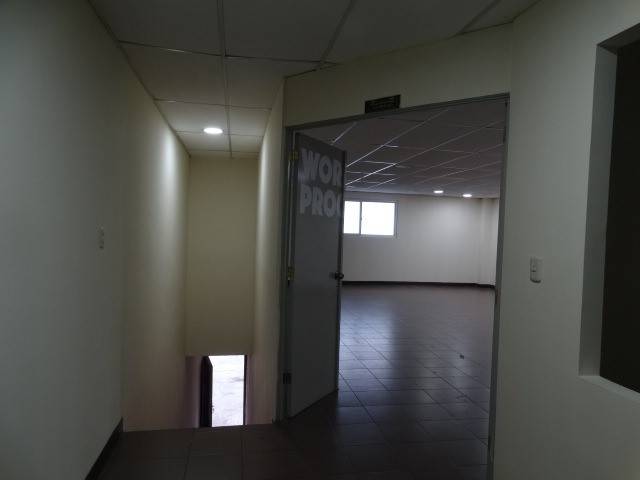 Ofibodega en Renta Avenida Petapa Zona 12 Guatemala - Image 5