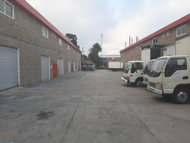 Ofibodega en Renta Avenida Petapa Zona 12 Guatemala - Miniatura 4