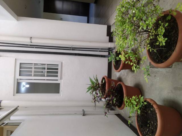 Apartamento Nuevo en Renta El Prado de Linda Vista V.N. - Image 4