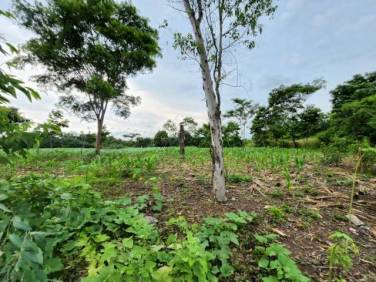 Terreno en Venta Quintas Malibu, Masagua Escuintla - Image 1