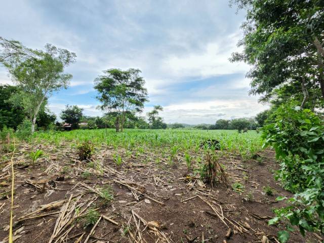 Terreno en Venta Quintas Malibu, Masagua Escuintla - Miniatura 2