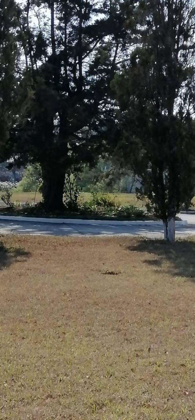 Terreno en Venta Cementerio Jardín Los Olivos, CES - Miniatura 2