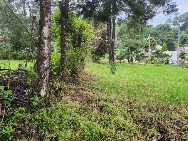 Terreno en Venta Los Manzanales Santiago Sacatepéquez - Image 4