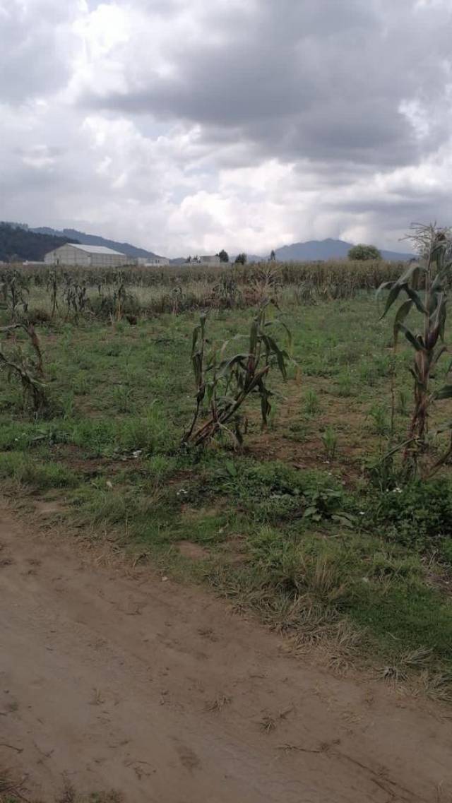 Terreno en Venta Quetzaltenango, La Esperanza - Image 3