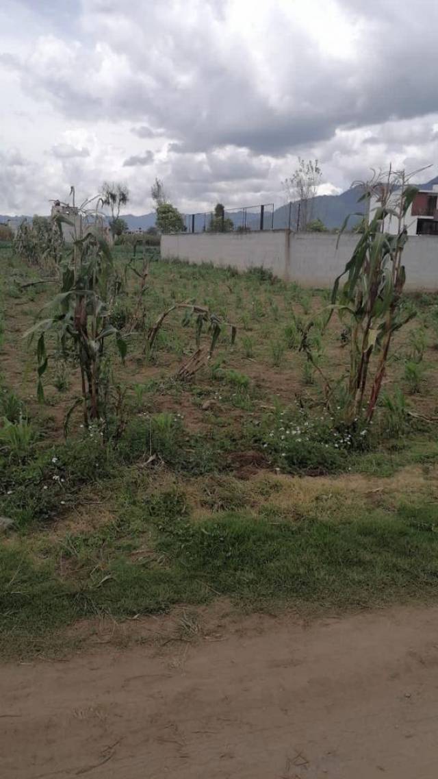 Terreno en Venta Quetzaltenango, La Esperanza - Image 4
