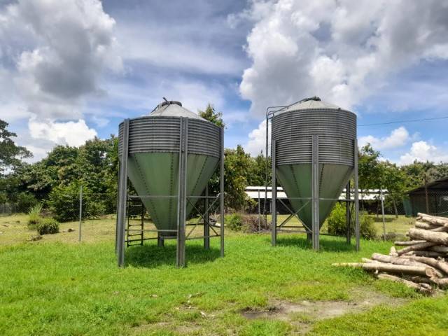 Granja Avícola en Renta, Escuintla - Miniatura 4