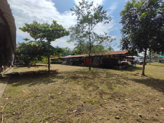 Granja Avícola en Renta, Escuintla - Miniatura 5