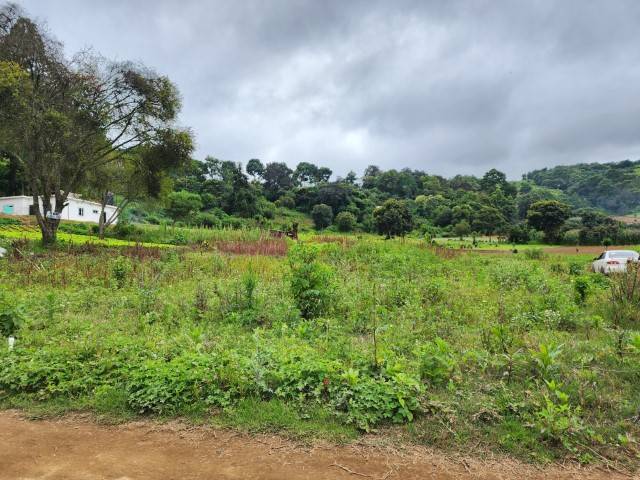 Terreno Residencial en Venta KM 34 Carr. Interamericana - Image 2
