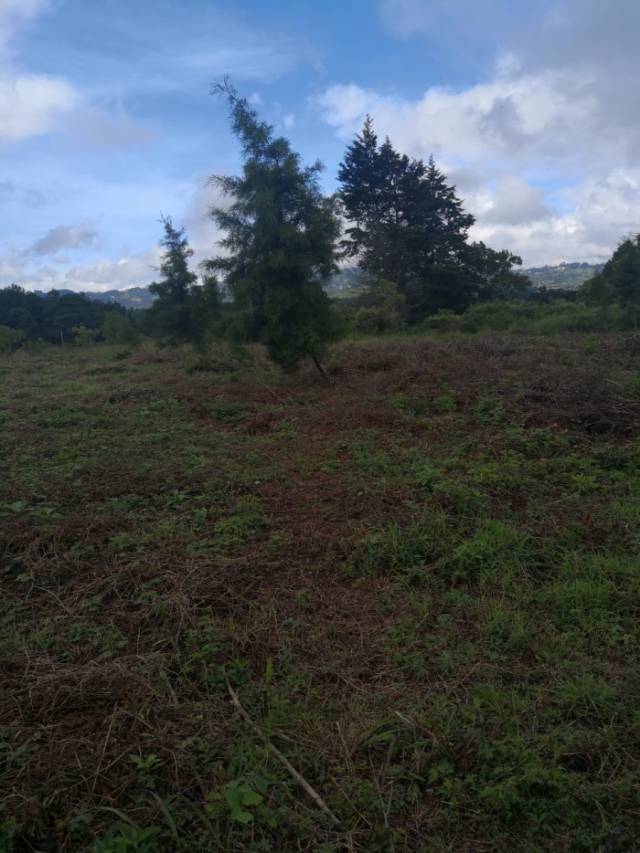 SE VENDE TERRENO EN ALTA VISTA, SAN JOSE PINULA - Image 3