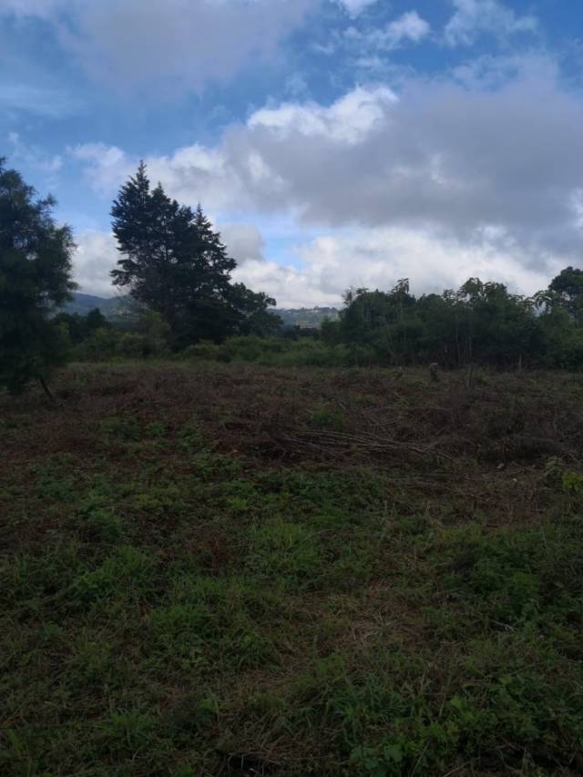 SE VENDE TERRENO EN ALTA VISTA, SAN JOSE PINULA - Image 5