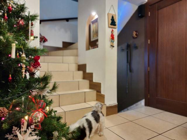 Casa en Venta y Renta Jardines de San Cristóbal - Image 2