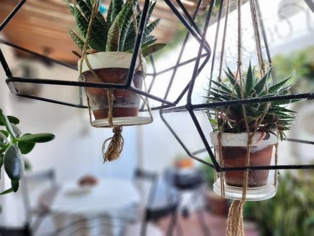 Casa en Venta y Renta Jardines de San Cristóbal - Miniatura 12