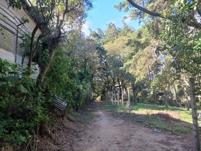 Terreno Residencial en Venta Chicamen, San Lucas - Miniatura 2