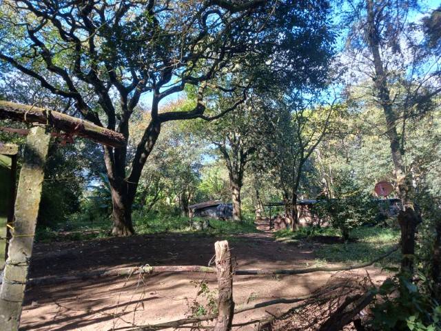 Terreno Residencial en Venta Chicamen, San Lucas - Miniatura 3