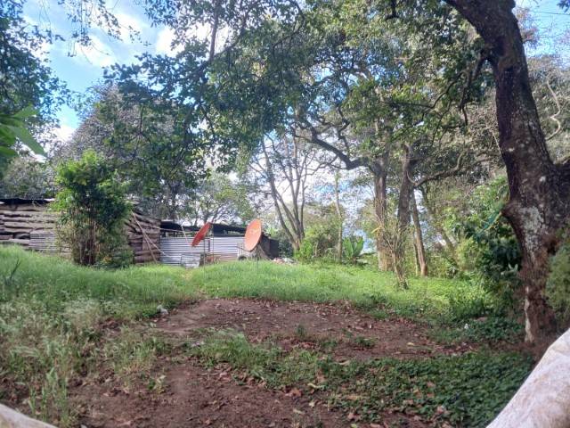 Terreno Residencial en Venta Chicamen, San Lucas - Miniatura 9