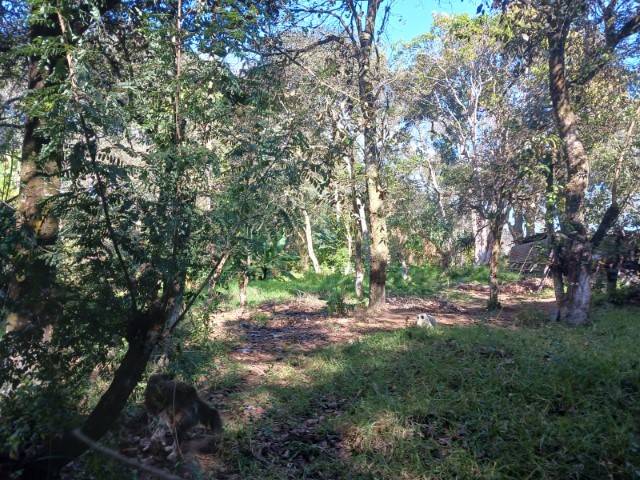 Terreno en Venta San Lucas Sacatepequez, Chicamen - Miniatura 3