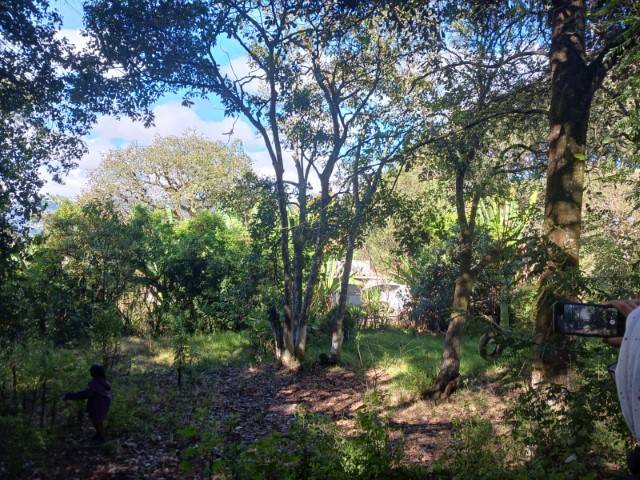 Terreno en Venta San Lucas Sacatepequez, Chicamen - Miniatura 5