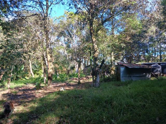 Terreno en Venta San Lucas Sacatepequez, Chicamen - Miniatura 6