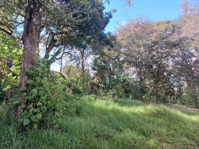 Terreno Residencial en Venta San Lucas Sacatepéquez - Miniatura 6