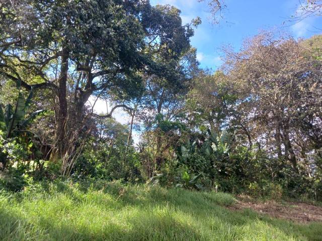 Terreno Residencial en Venta San Lucas Sacatepéquez - Miniatura 7