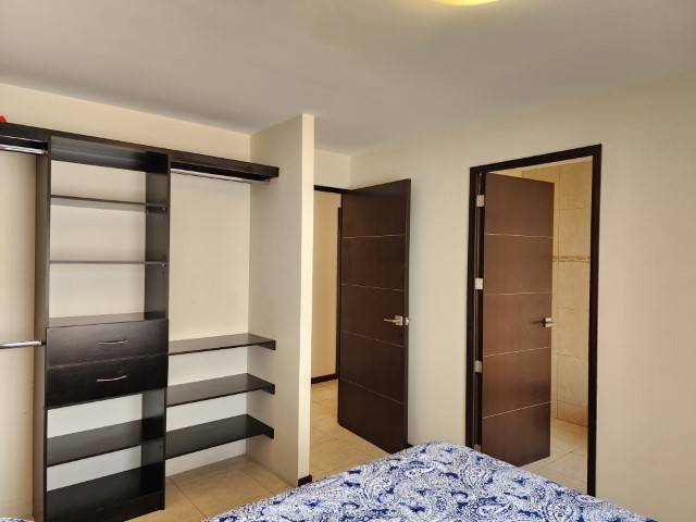 Apartamento Amueblado en Renta Zona 11 Las Charcas - Miniatura 6