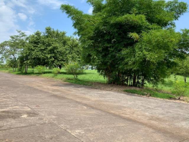 VENDO TERRENO PARA BODEGA EN ESCUINTLA, TAXISCO - Image 2