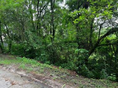 VENDO TERRENO EN EL ENCINAL