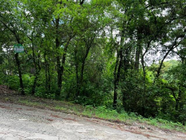 VENDO TERRENO EN EL ENCINAL - Image 2