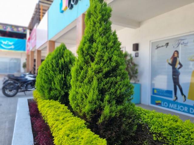 Local en Renta para Venta de Alimentos en Food Court - Miniatura 4