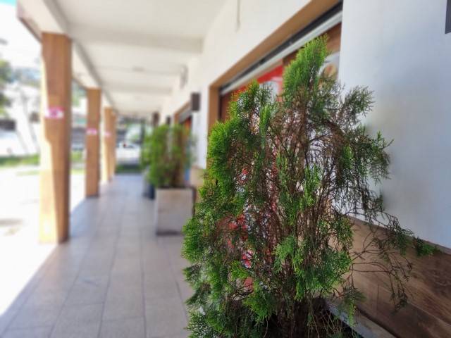 Local en Renta para Venta de Alimentos en Food Court - Miniatura 6