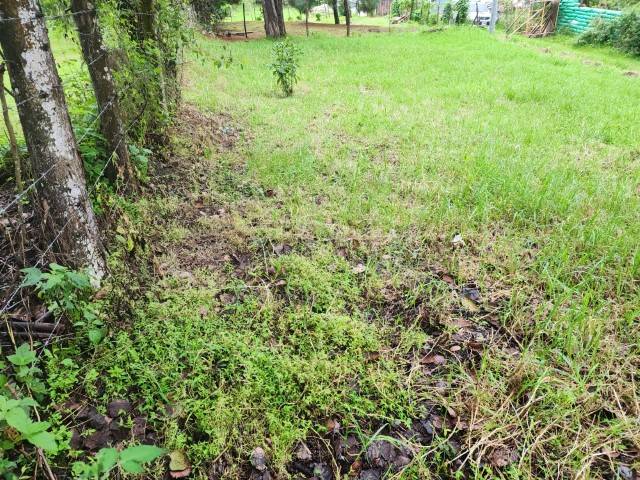 Terreno en Venta Los Manzanales Santiago Sacatepéquez - Image 5