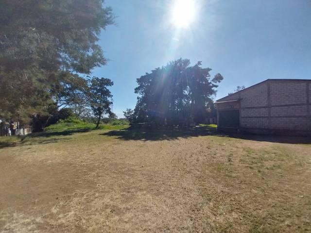 BODEGA DE 20000V2 EN VENTA EN VILLA NUEVA - Miniatura 5