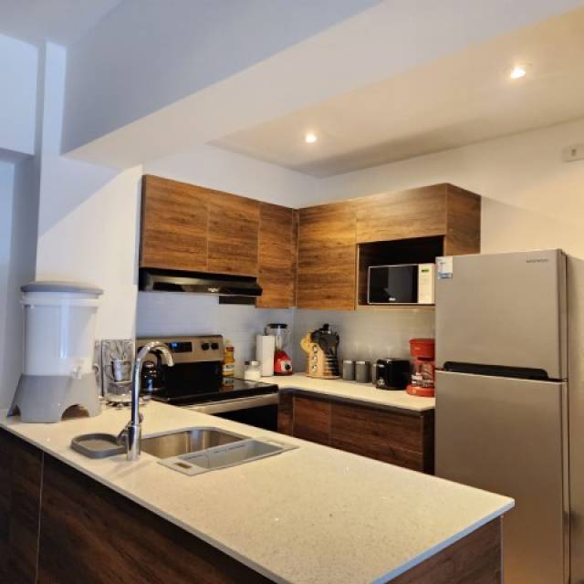 Apartamento Amueblado en Renta Zona 12 Ciudad Guatemala - Miniatura 5