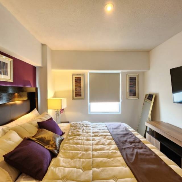 Apartamento Amueblado en Renta Zona 12 Ciudad Guatemala - Miniatura 8