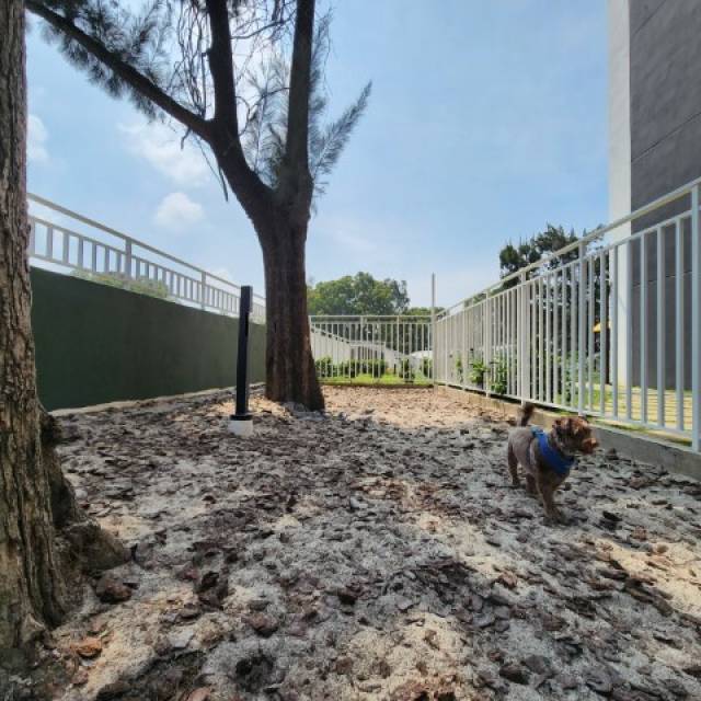 Apartamento Amueblado en Renta Zona 12 Ciudad Guatemala - Miniatura 14