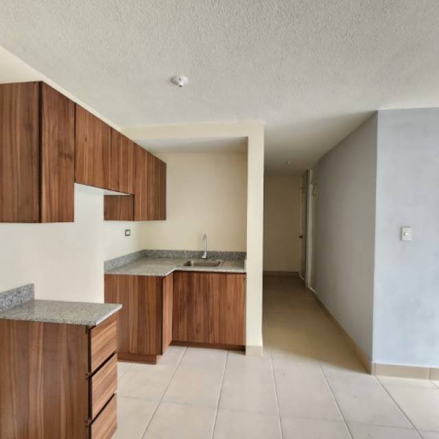 Apartamento para Estrenar en Renta Villa Los Alamos - Image 4