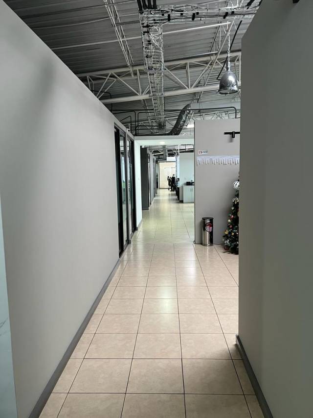 EDICIFIO DE OFICINAS EN RENTA ZONA 13 - Image 4