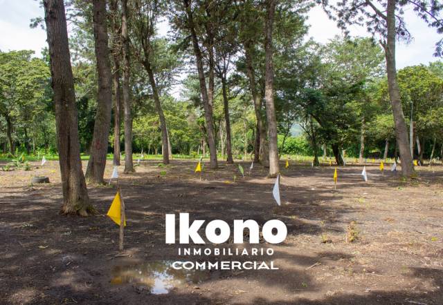 TERRENO PLANOS EN VENTA, DENTRO DE GARITA EN VILLA CANALES - Miniatura 2