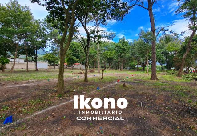 TERRENO PLANOS EN VENTA, DENTRO DE GARITA EN VILLA CANALES - Miniatura 3