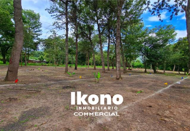 TERRENO PLANOS EN VENTA, DENTRO DE GARITA EN VILLA CANALES - Miniatura 4