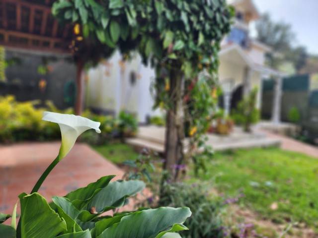 En renta casa para uso comercial cerca de Antigua - Miniatura 11