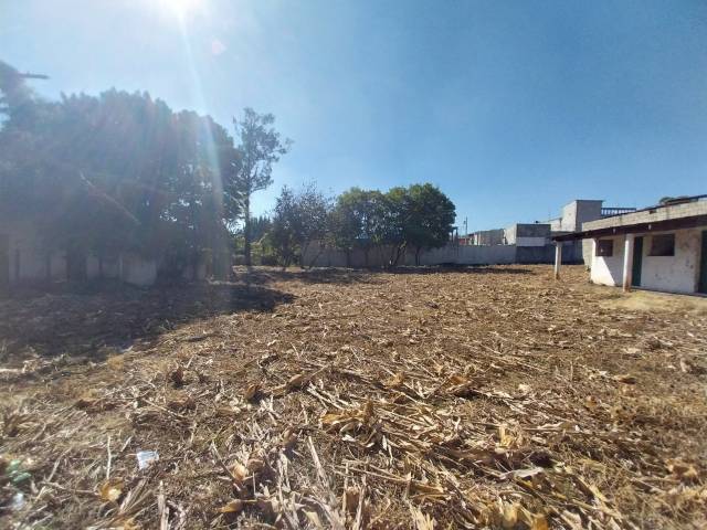 BODEGA CON 20000 V2 EN VENTA EN VILLA NUEVA - Image 3