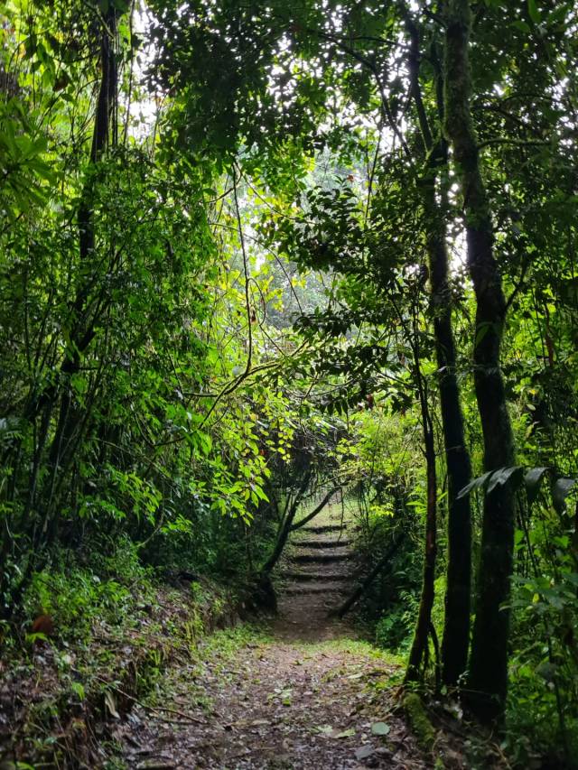 VENDO FINCA EN QUETZALTENANGO - Image 5