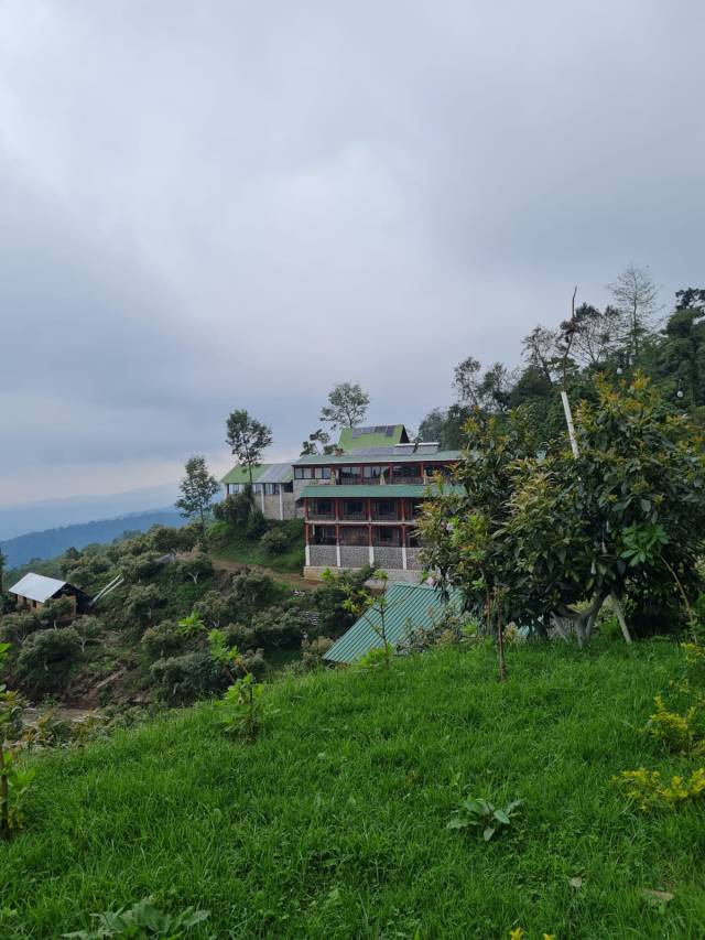 VENDO FINCA EN QUETZALTENANGO - Miniatura 8