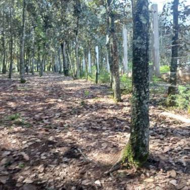 Terreno Residencial en Venta Sumpango, Sacatepéquez - Image 1