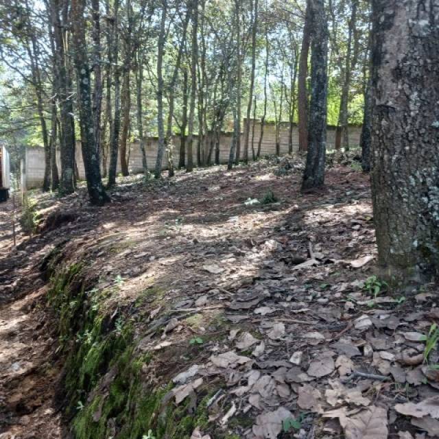 Terreno Residencial en Venta Sumpango, Sacatepéquez - Image 2