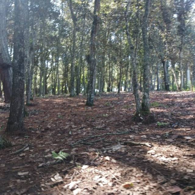 Terreno Residencial en Venta Sumpango, Sacatepéquez - Image 3