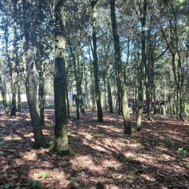 Terreno Residencial en Venta Sumpango, Sacatepéquez - Miniatura 6