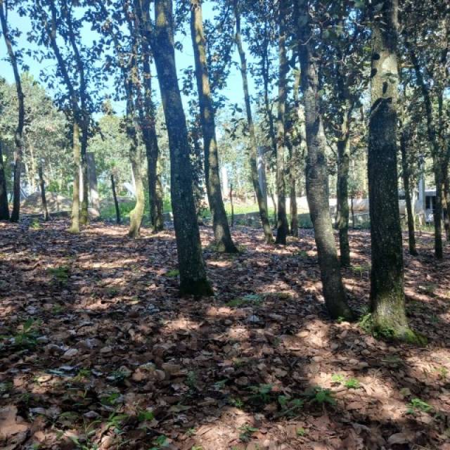 Terreno Residencial en Venta Sumpango, Sacatepéquez - Miniatura 9