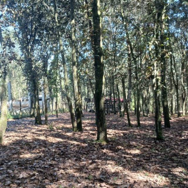 Terreno Residencial en Venta Sumpango, Sacatepéquez - Miniatura 10
